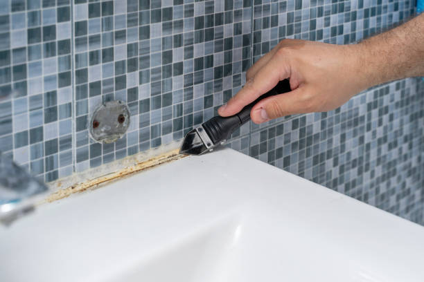 Best Best Mold Removal Companies  in Seven Corners, VA