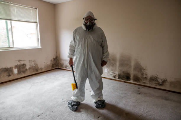 Water Damage Restoration in Seven Corners, VA